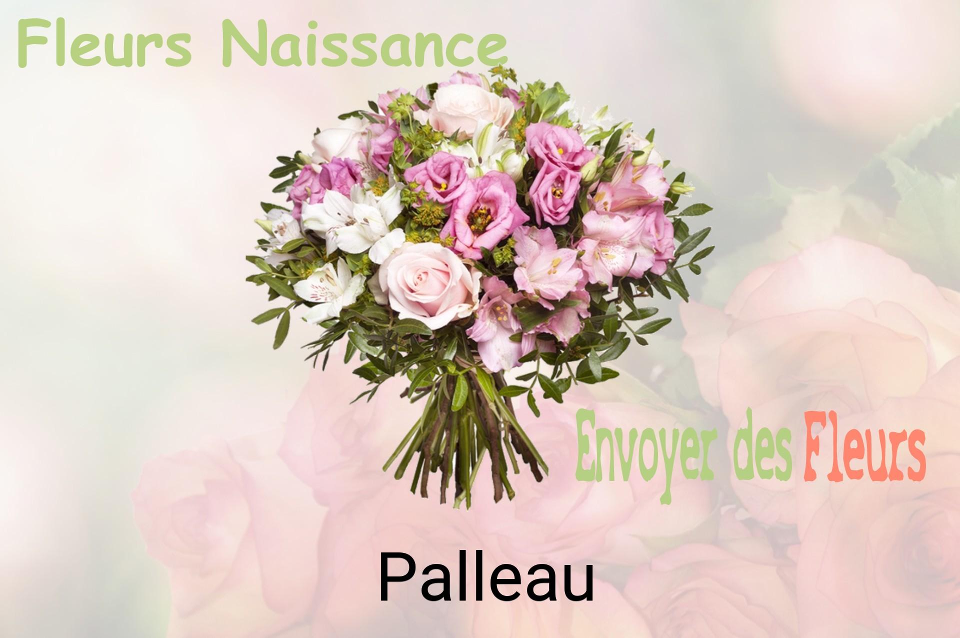 Bouquet de fleurs de naissance livré à Palleau