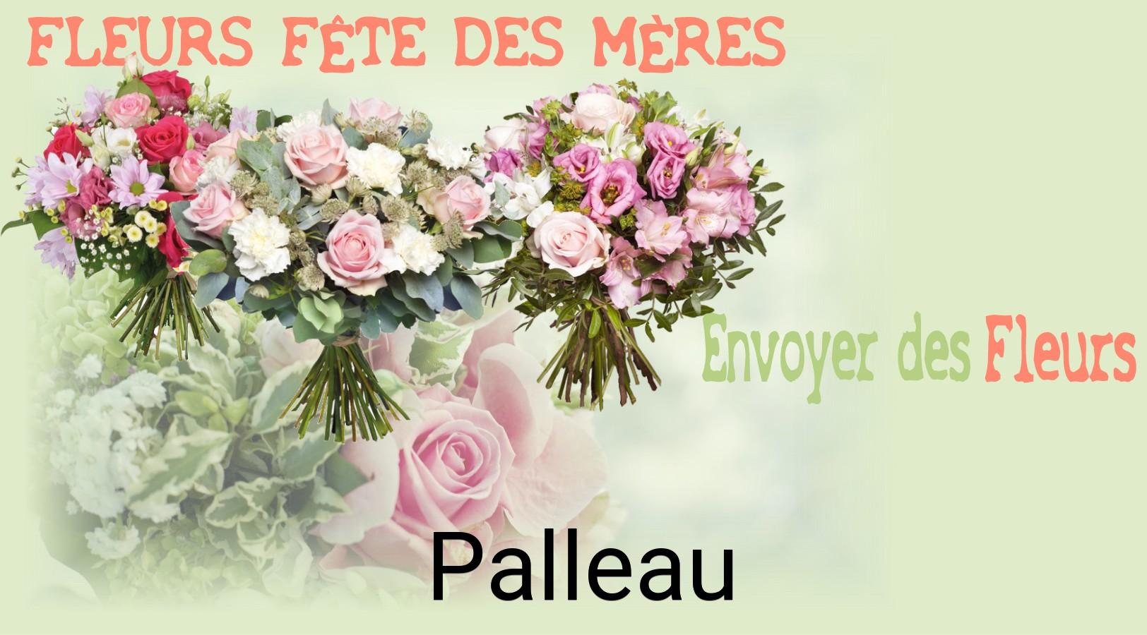 Bouquet de Fête des Mères livré à Palleau